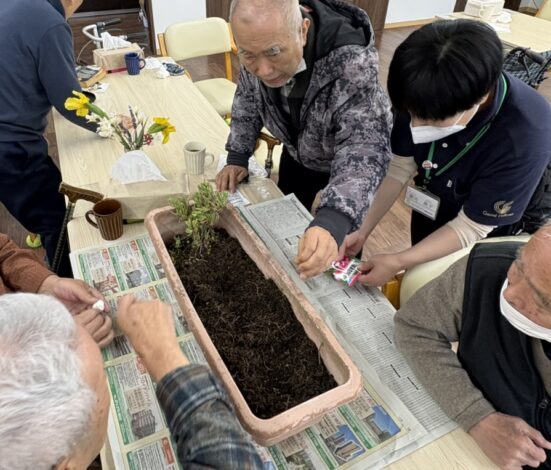 夏の始まりを告げる彩り – みんなであさがおの種まき🌺
